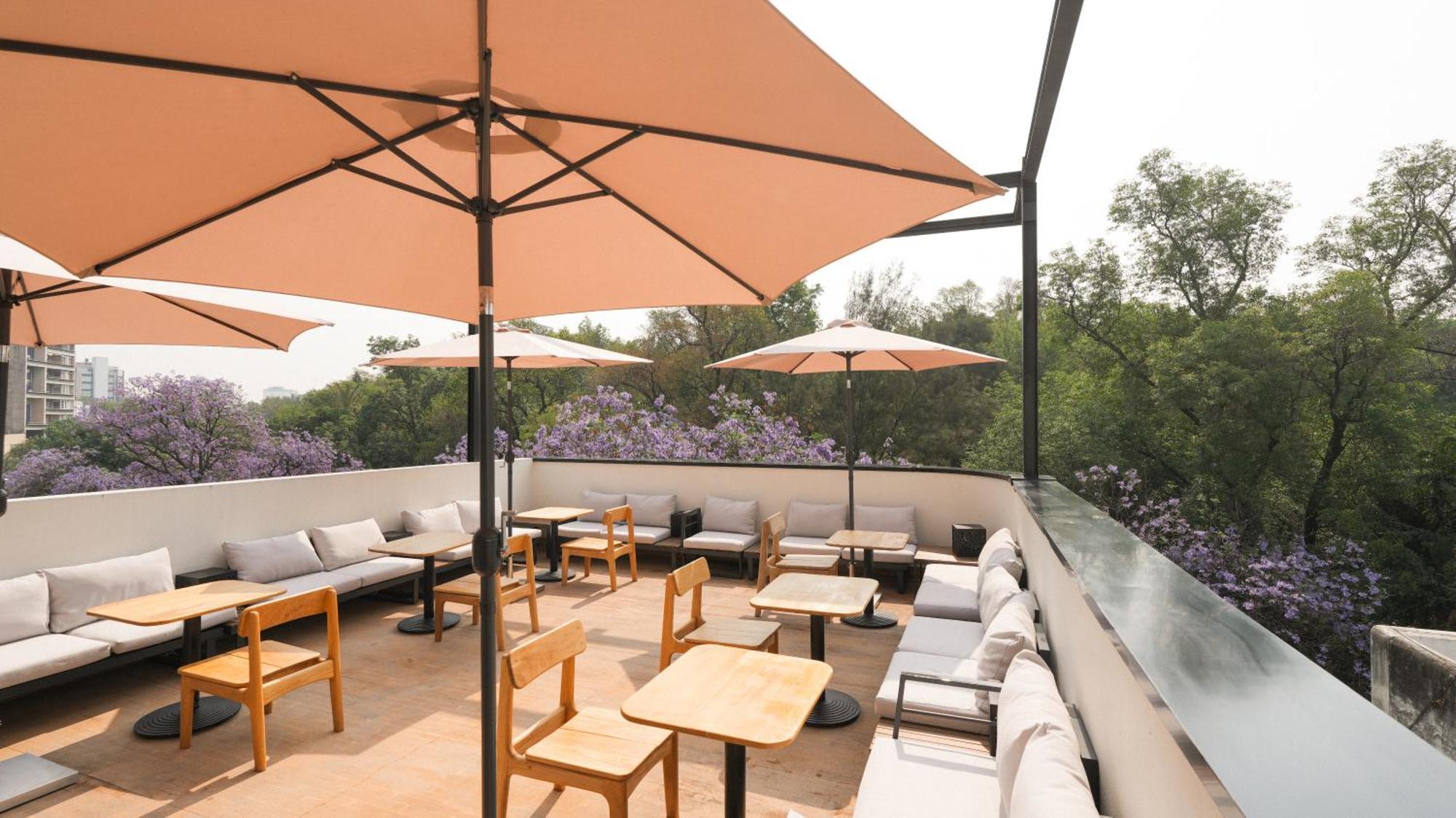 Rodona Hotel Мехіко Екстер'єр фото